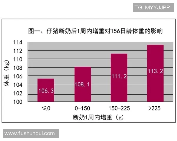 霍兰德分享增重心得:增加饮食摄入量是我的主要策略 霍兰德分享增重心得:增加饮食摄入量是我的主要策略